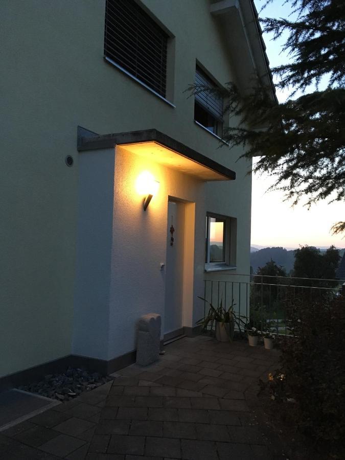 Villa Modern Ufhusen Экстерьер фото